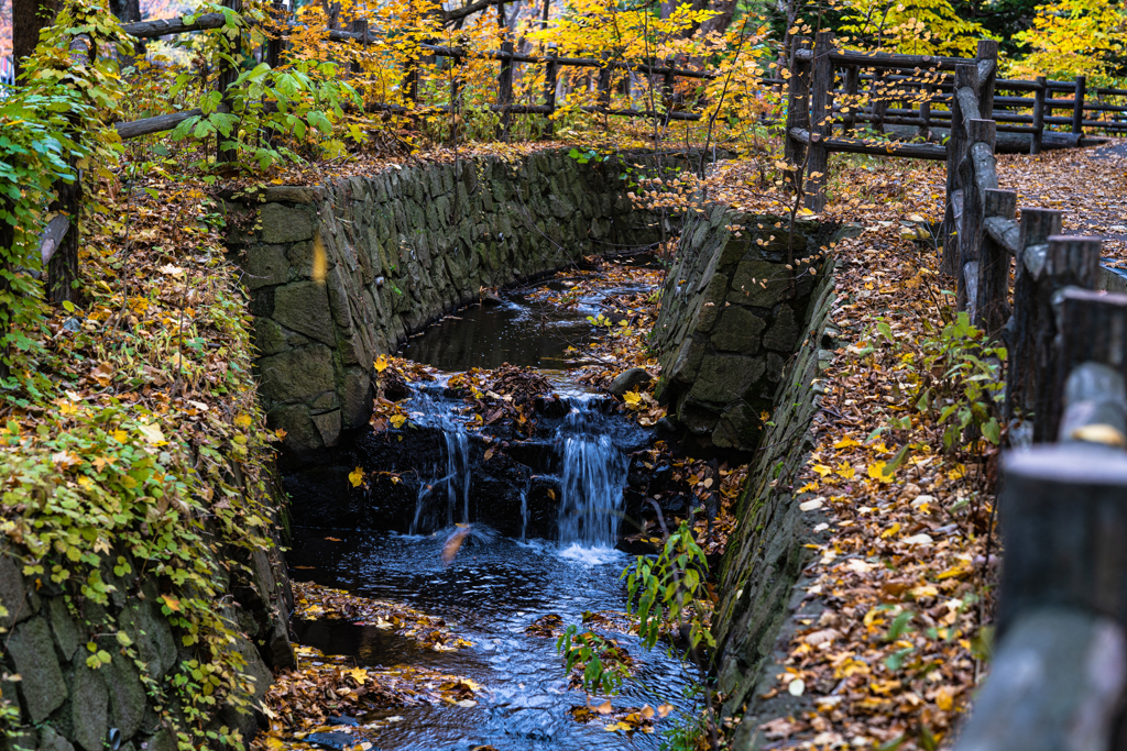 北海道神宮外苑