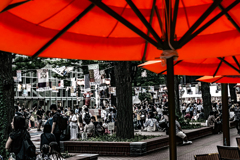 アカプラパラソル1