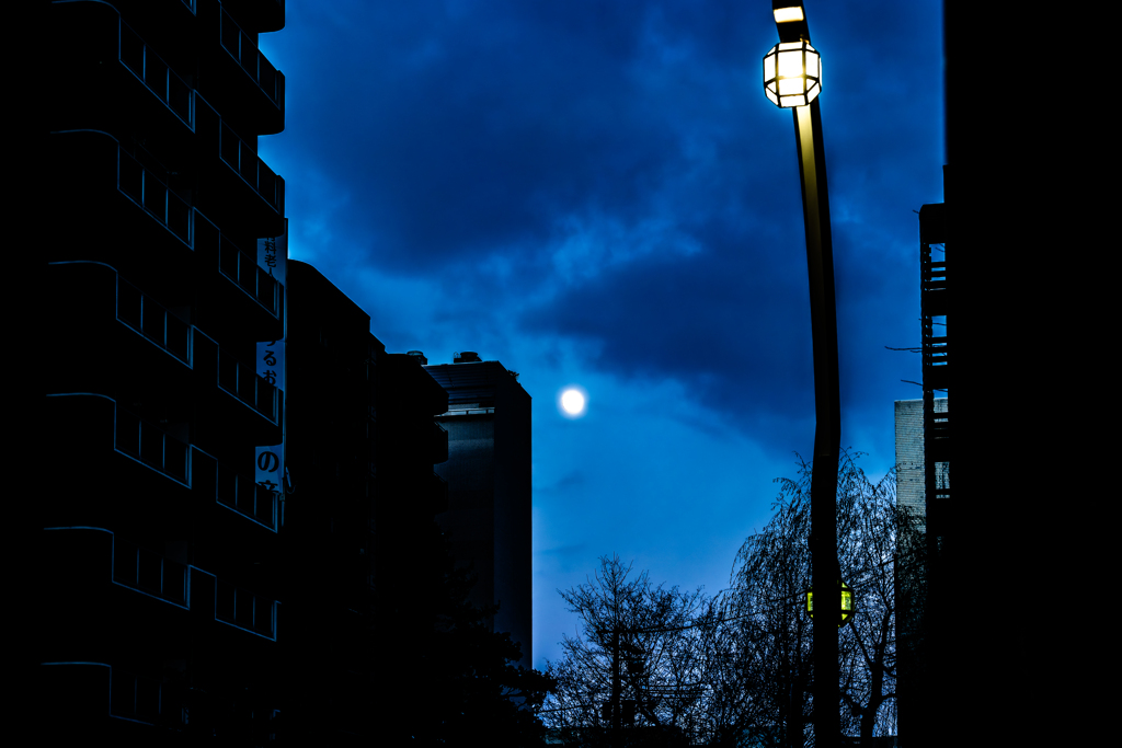 ススキノ１２１４１