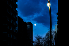 ススキノ１２１４１