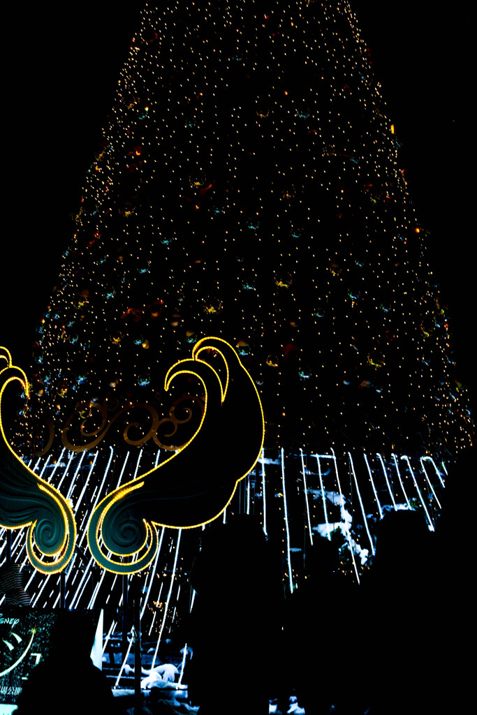 ホワイトイルミネーション１