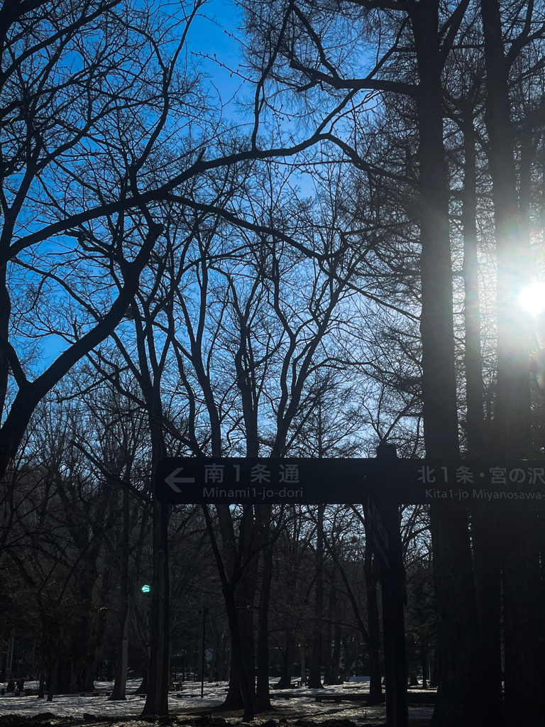 円山公園に行ってきた１