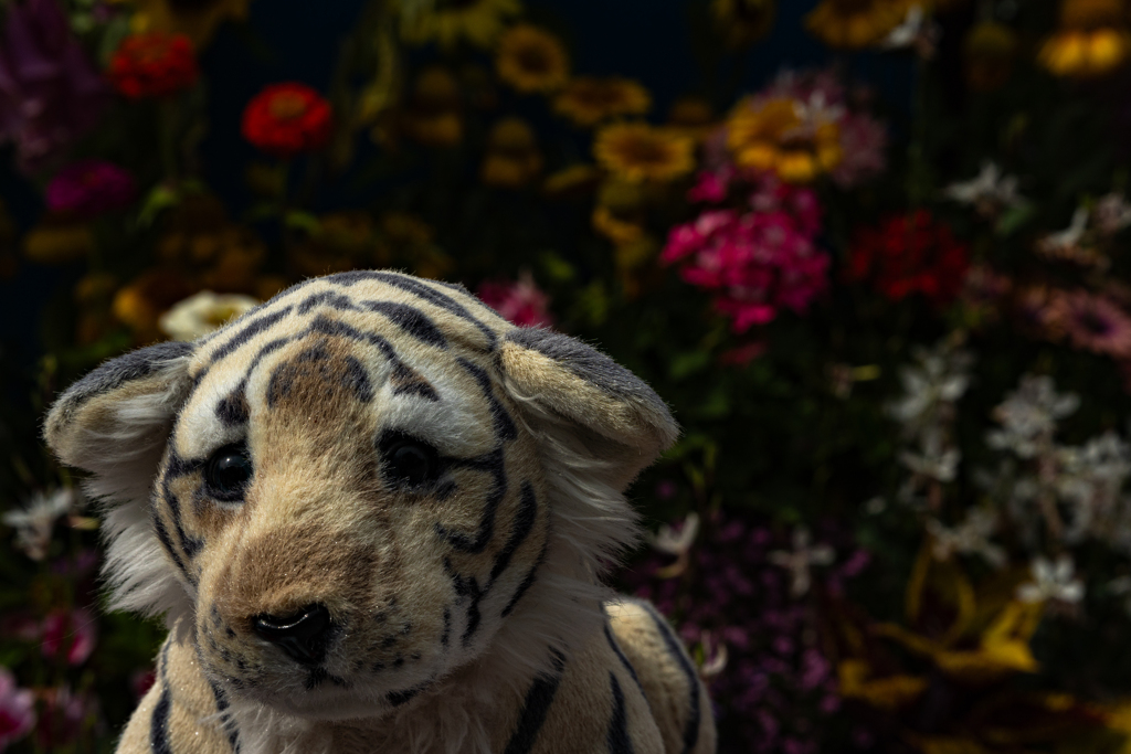 大通公園０６２７ー１