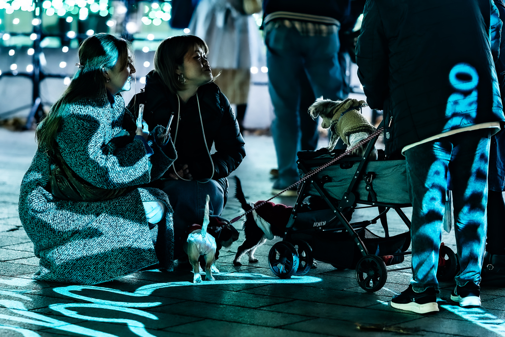 話題は犬ばかり