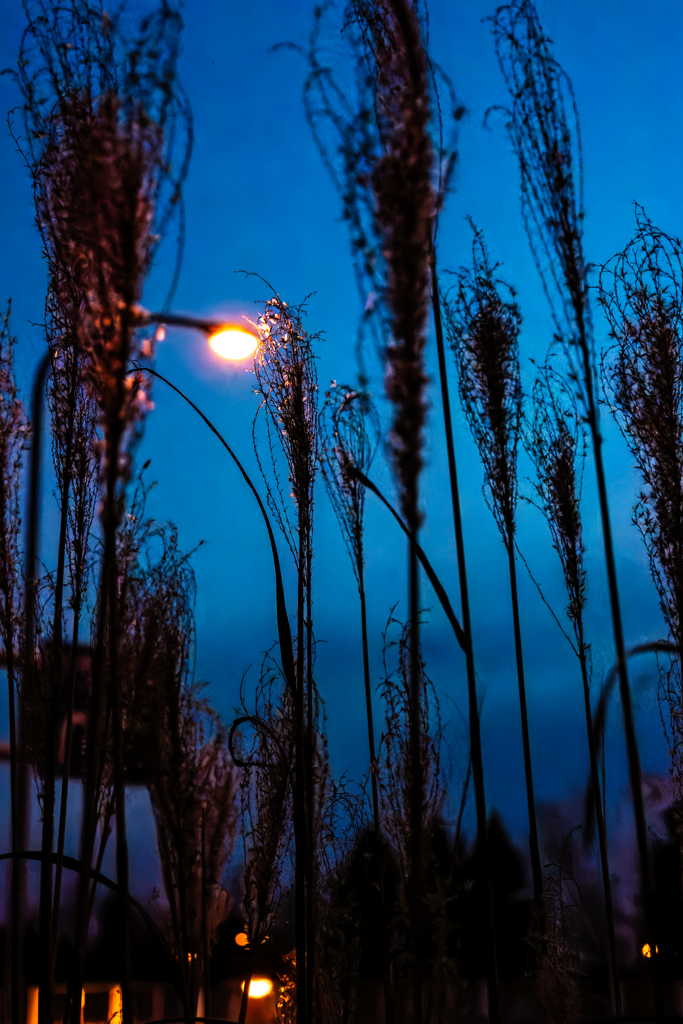 夕闇の高速道路