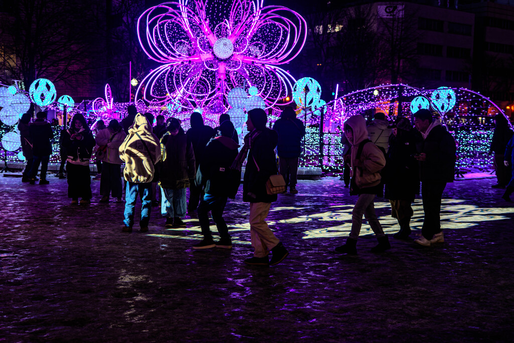 イルミネーション点灯