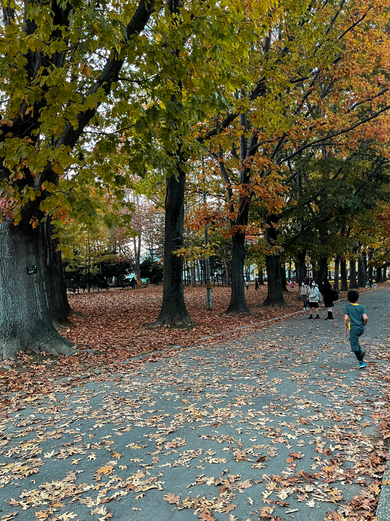 １１月なのに半袖、恐るべし