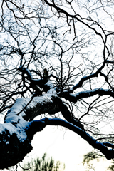 初冬の空模様１