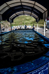 何のプールだったか