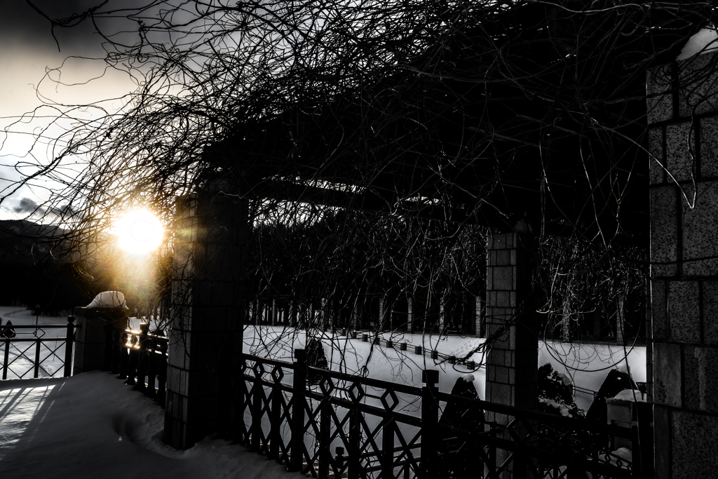 森林公園の夕日２