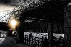 森林公園の夕日２