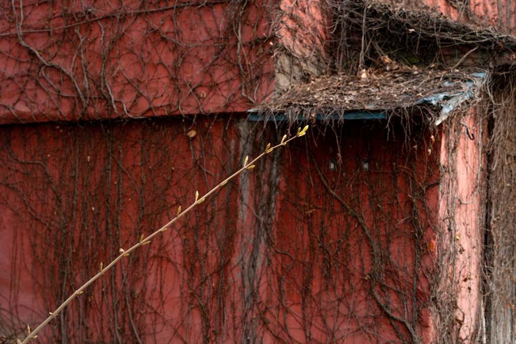 ススキノ界隈４−２５ー２