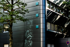 ビル街の日差し