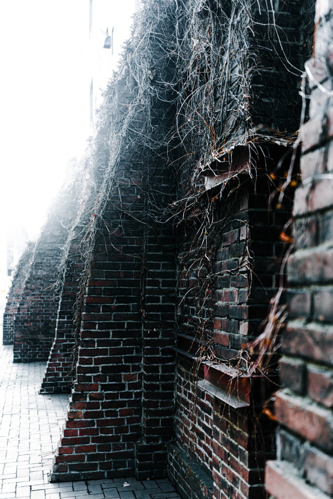 ビール工場の遺構か2