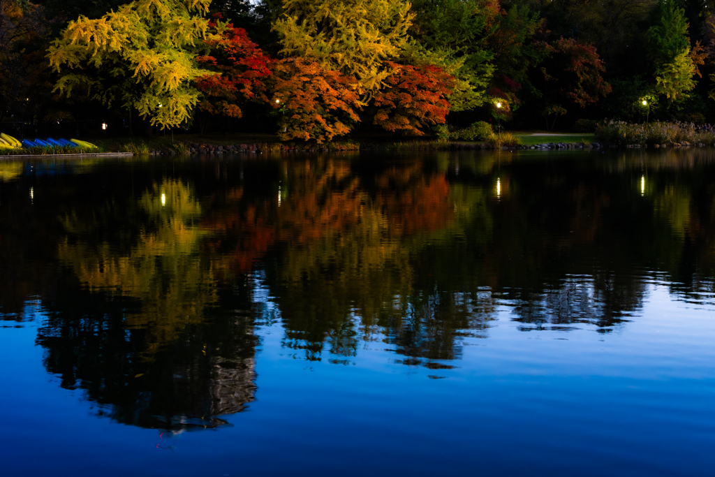 灯りがつき始めた