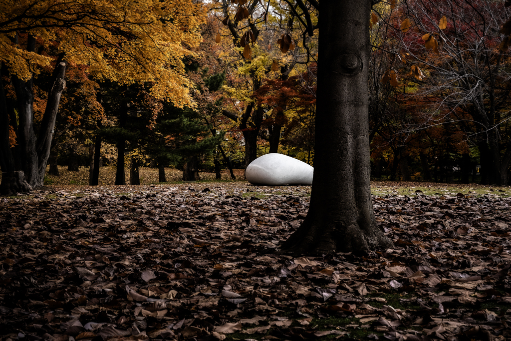 知事公館の裏庭