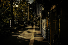 さてどこへ行こうか