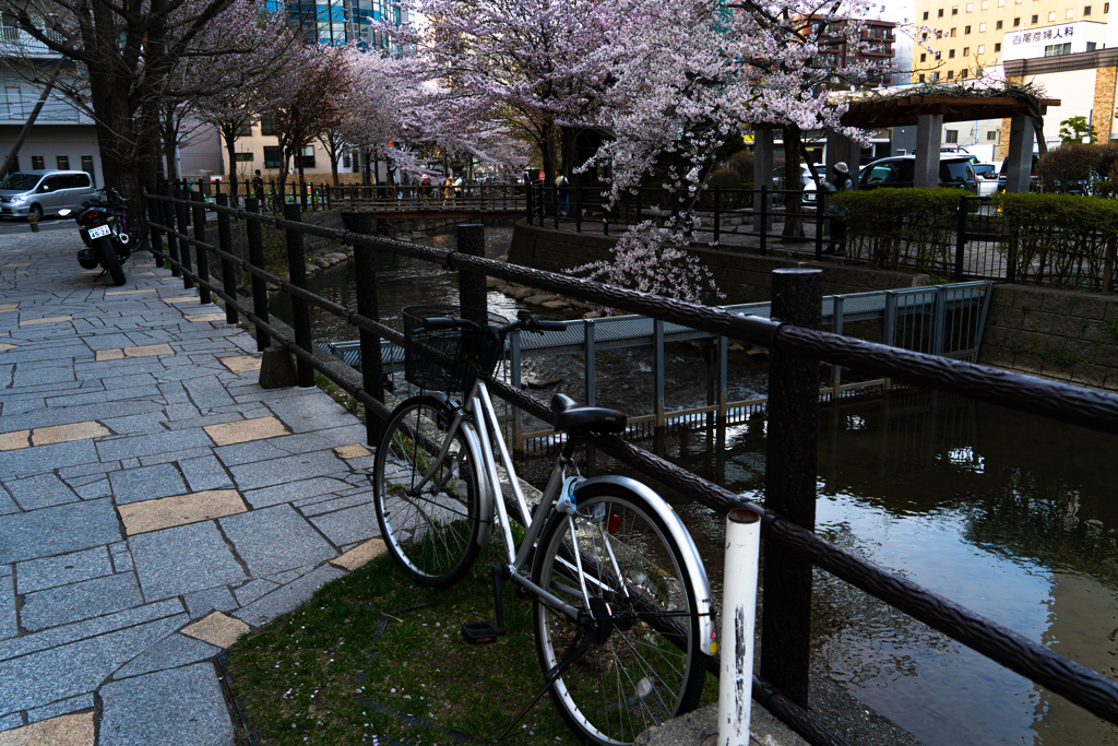 ススキノ界隈４−２５ー３