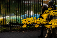 急に寒くなった