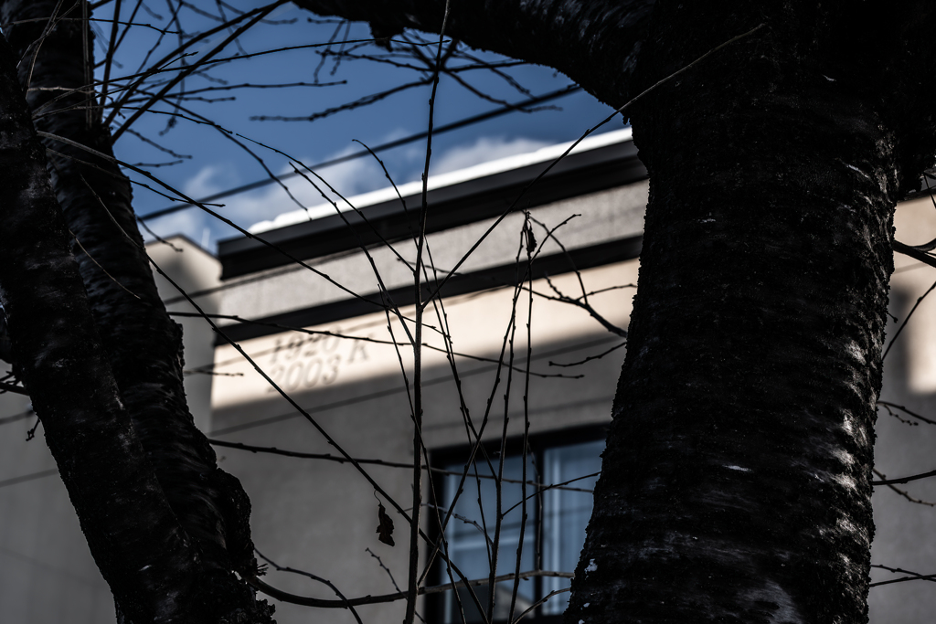 K１９２０２００３