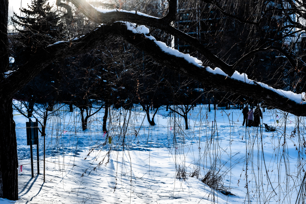 三人娘自撮り中