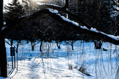 三人娘自撮り中