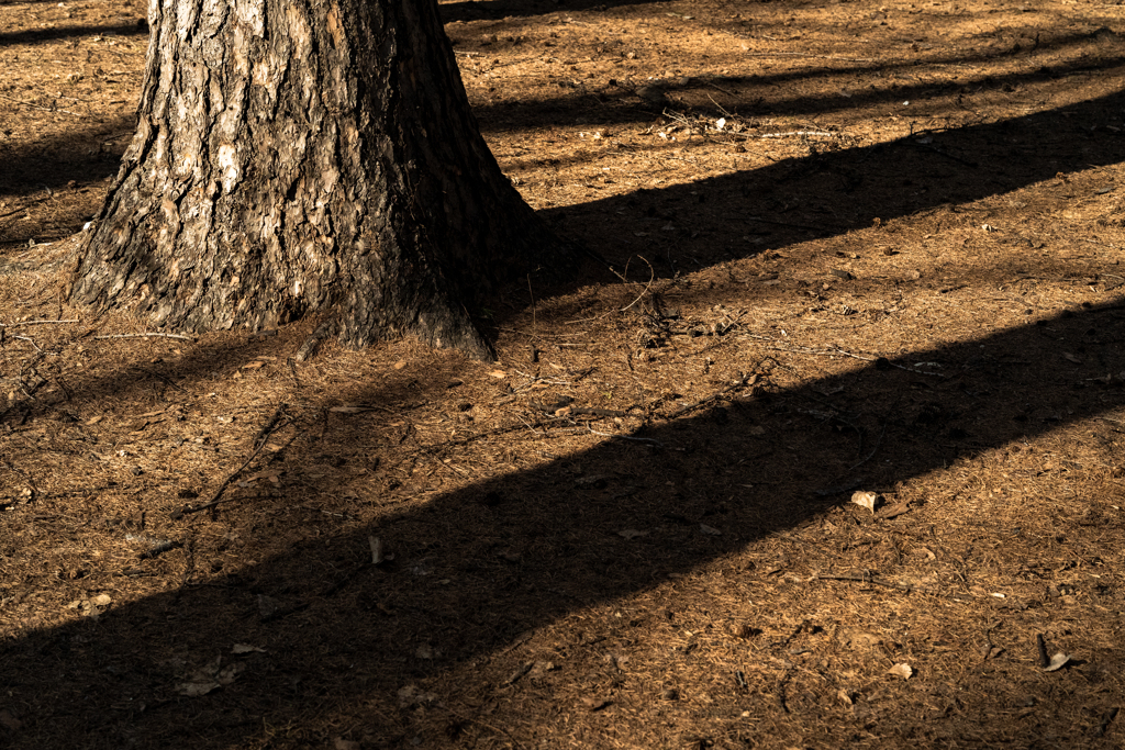 ちょっと早すぎた３