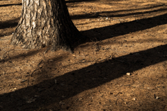 ちょっと早すぎた３