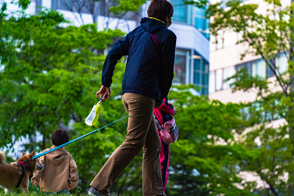 よさこいの日に８