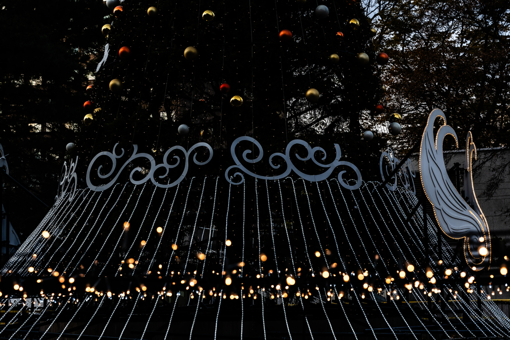 ホワイトイルミネーション準備中２