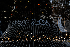 ホワイトイルミネーション準備中２