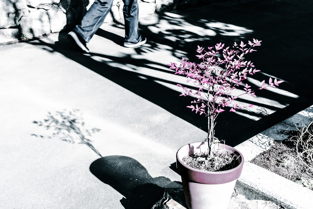 平岡樹芸センターにて