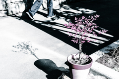 平岡樹芸センターにて