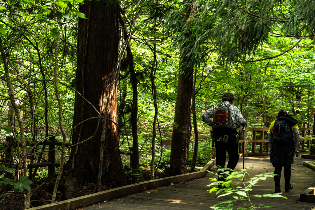 ヒグマを気にしながら進むと