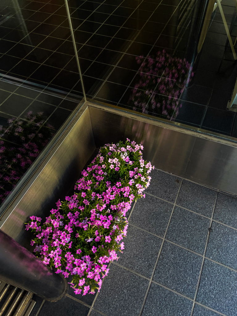 バスを待つ間に１