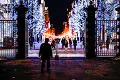 赤れんが庁舎から