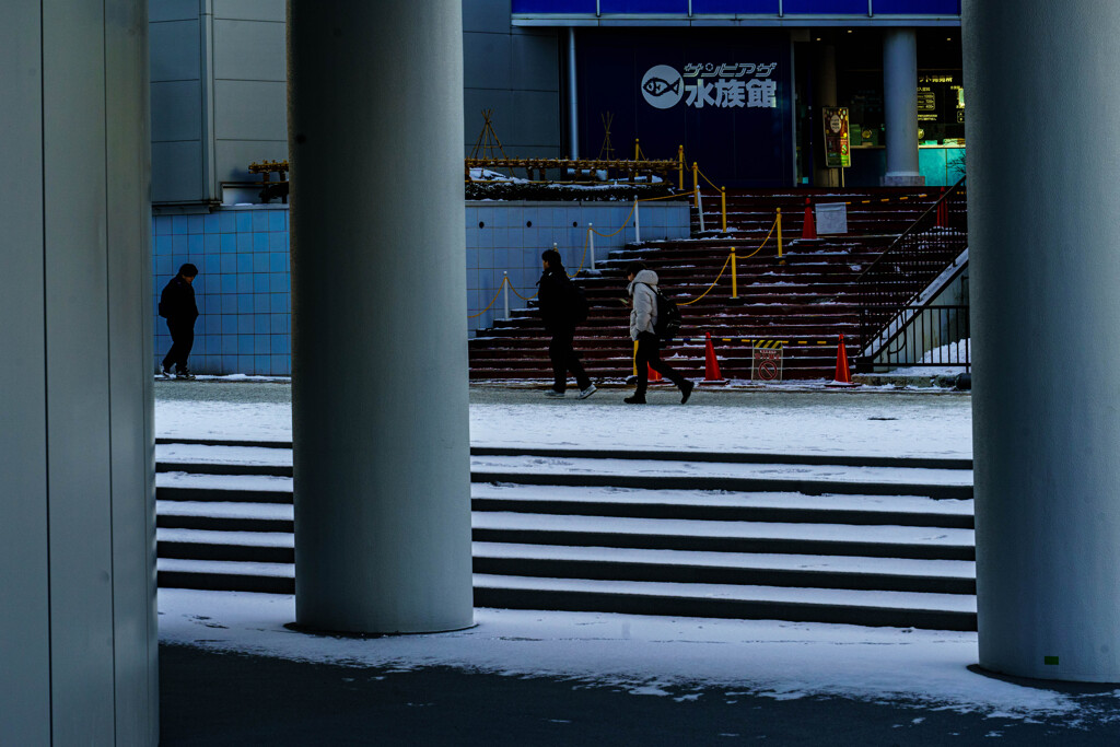 冬の水族館jpg