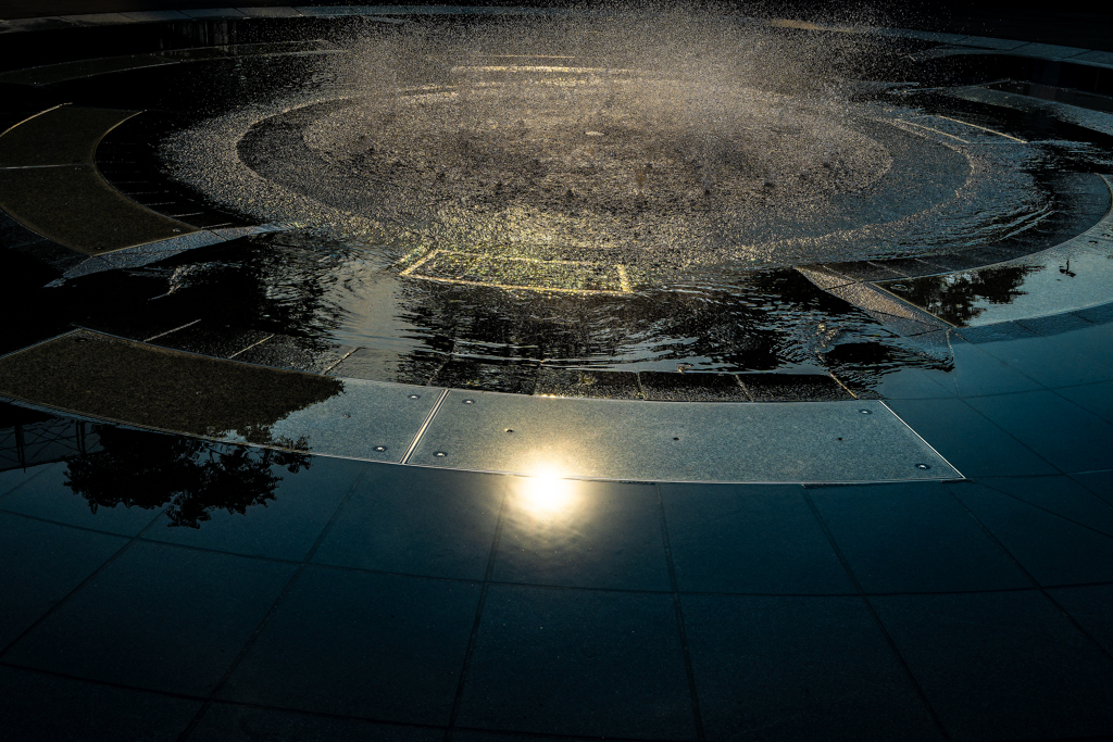 七月の科学館公園で