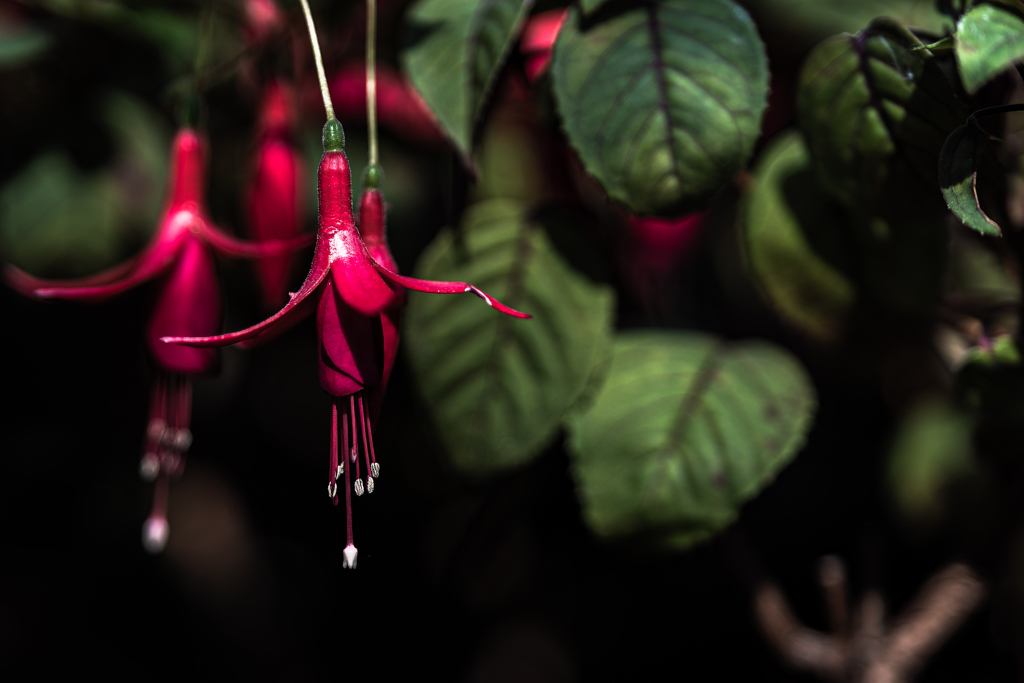 百合が原公園に行ってきた-３