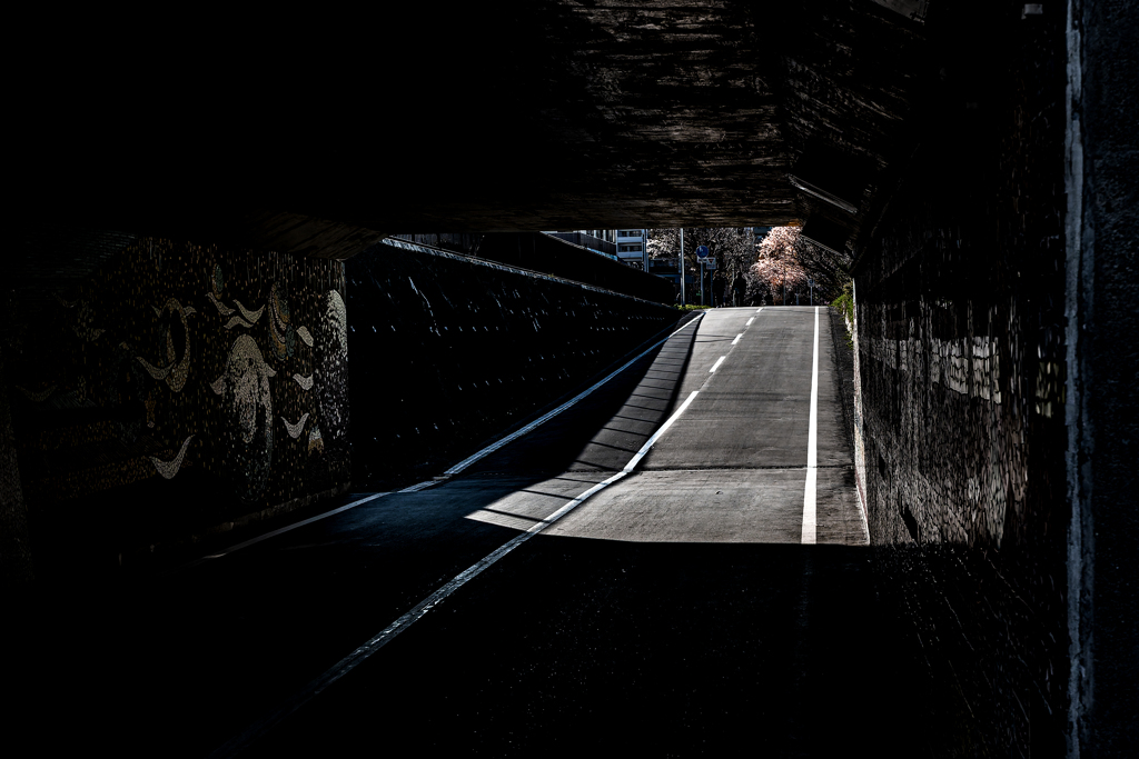 トンネルとサクラ