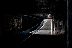 トンネルとサクラ