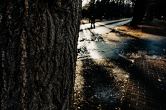 夕日の中を漕ぐ