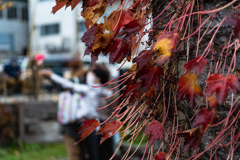 旧手宮線界隈９