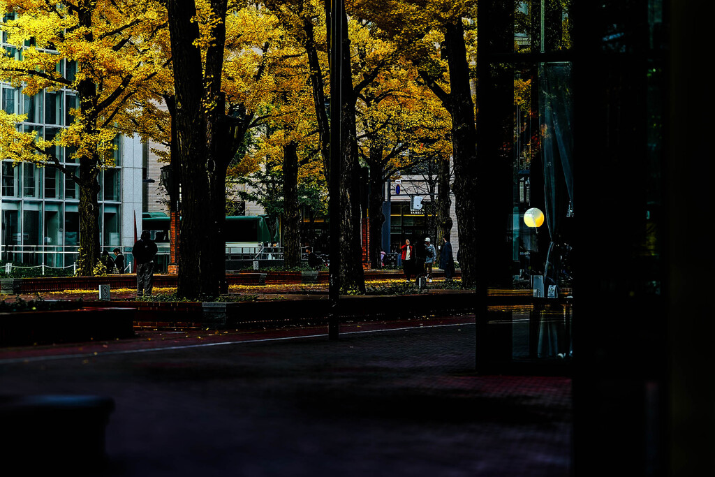 札幌アカプラ231105