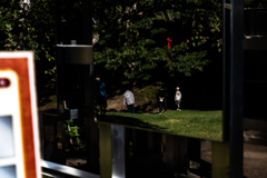 オブジェのミラー