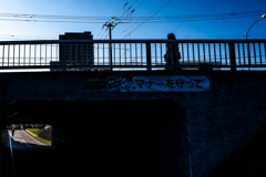 白石こころーどの桜３