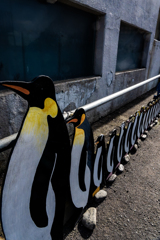 コウテイペンギンを先頭に