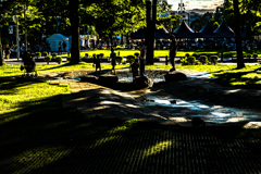 大通公園にて０８１１