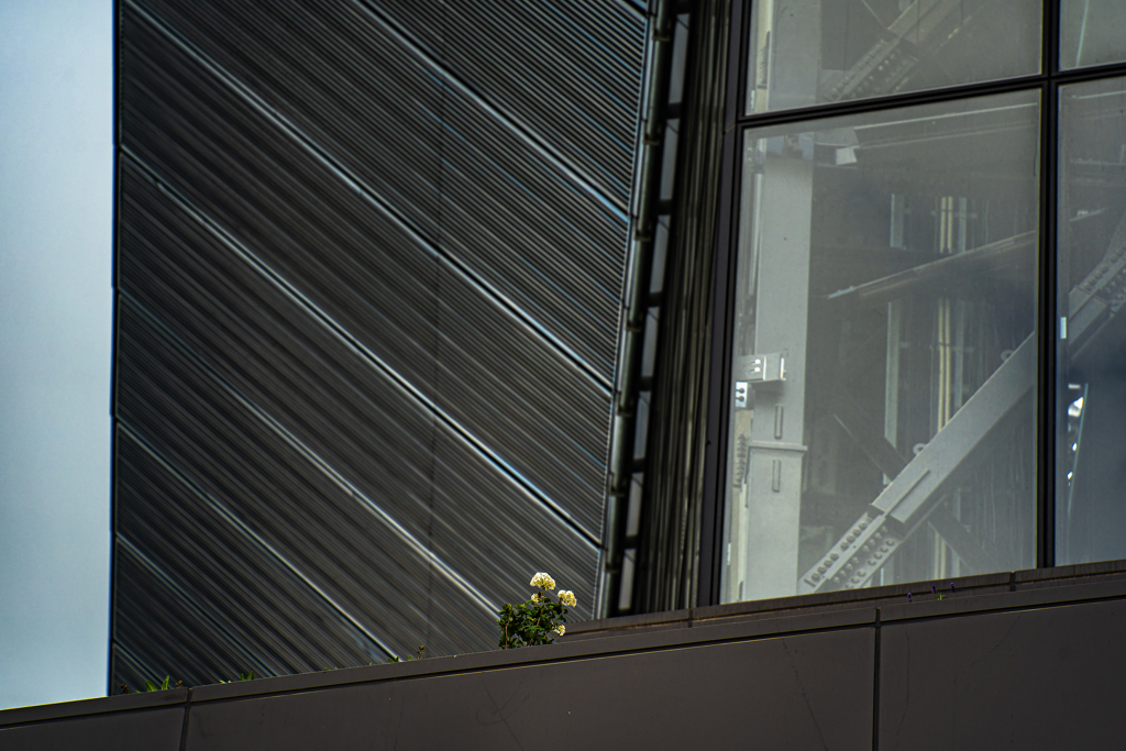 エスコン０７２５ー７