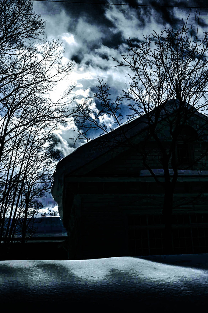 冬の日差し220304